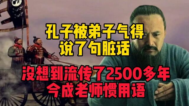 孔子被弟子气得说了句脏话,没想到流传2500多年,今成老师惯用语