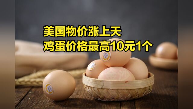 美国物价涨上天,鸡蛋价格最高10元1个,家庭年均收入损失5万多