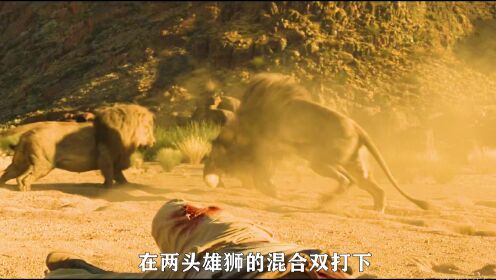 3.一头被灭族的雄狮，活着的动力就是为了给族群报仇，而灭它族群你的就是人类