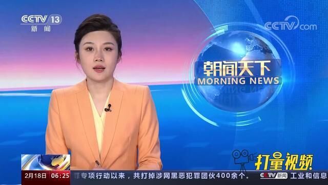 打击惩治涉网黑恶犯罪专项行动:河南周口杨某翔等人软暴力催收案