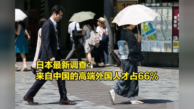 日本最新调查:来自中国的高端外国人才占66%,远超韩国和印度