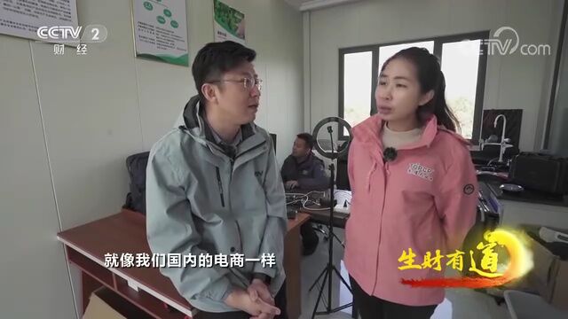 央视聚焦德庆贡柑:千年贡品 同甘共味 产业底色