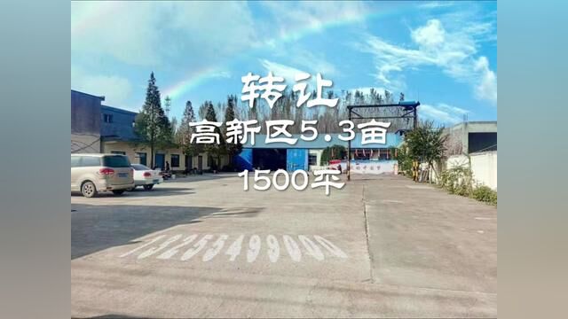 临沂罗庄高新区罗西5.3亩建设用地,属于园区,钢结构1500平5米高,平房13间,水磨地面,无承包费,交通便利平可过任何大车