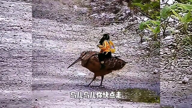 专治小淘气,快点帮帮我