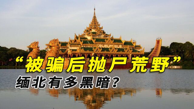 剁指只是冰山一角!被骗之后抛尸荒野,真正的缅北有多黑暗?