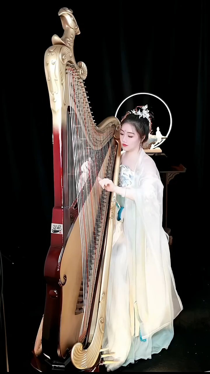 箜篌演奏《踏山河》片段