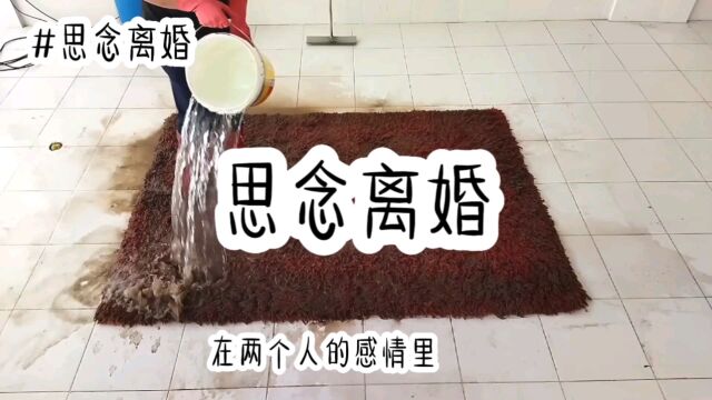 小说:思念离婚