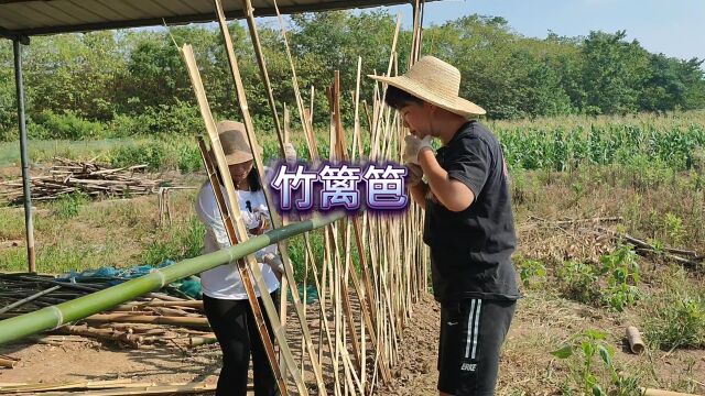 农家小院围篱笆,巧妙编织竹片,呈现出唯美的画面