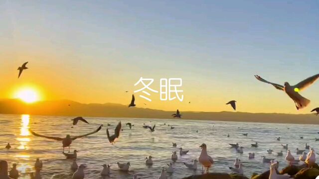 《冬眠》,我超级喜欢的一首歌,总是单曲循环,怎么也听不够