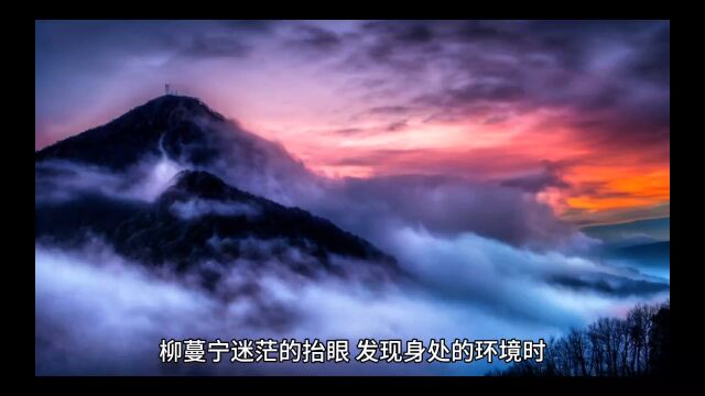 《年代:夺回福运保家人她赚疯》柳蔓宁玉南楼小说全集