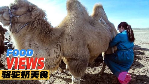 蒙古国人为什么要养骆驼，喝驼奶茶，他们又是怎么庆祝新年的？