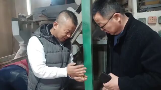 昌生农业科技:培育优质良种助力家乡种业发展