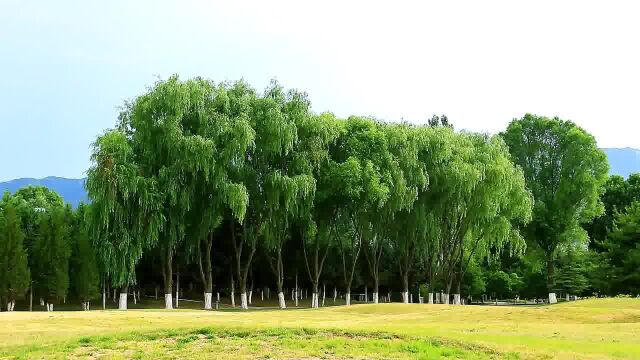 音乐Prayer(祈祷)Secret Garden