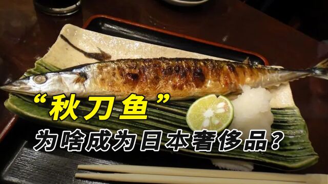 从前日本廉价的秋刀鱼,如今贵到吃不起,还甩锅给中国