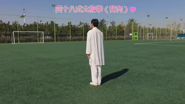 #四十八式太极拳背向演练.