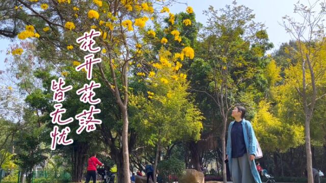 “我们睡去的时候 像孩子无忧愁”…有一首歌,名叫《花开忘忧》. 祝愿:花开花落皆无忧