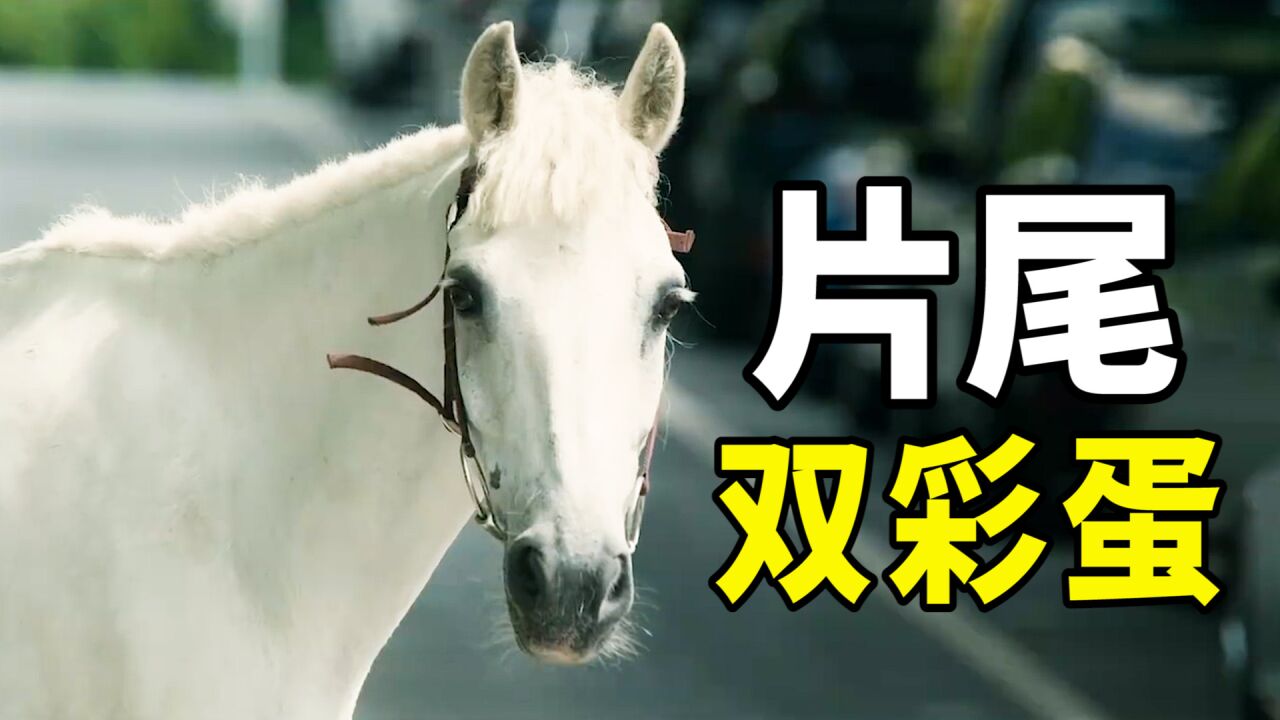 《保你平安》片尾第二个彩蛋,恰到好处,电影完美收场