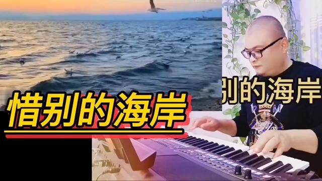 电子琴演奏经典老歌《惜别的海岸》 #电子琴 #电子琴演奏 #电子琴音乐 #弹奏