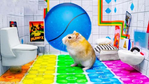 爱玩的小仓鼠：挑战逃离星球监狱迷宫，身经百战的仓鼠能否成功？