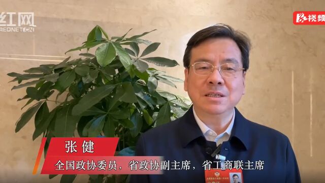 习声回响|张健:“始终把民营企业和民营企业家当作自己人”讲到了我的心坎上