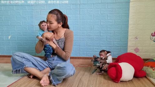 小姐姐无聊了给猴子看牙齿，和猴子一起玩游戏，这猴子怎么想的