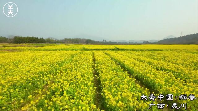 3月15日广西灵川