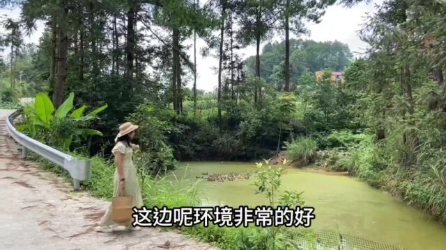 花3000块,买两层小楼,四周环境优美,犹如世外桃源,太美了