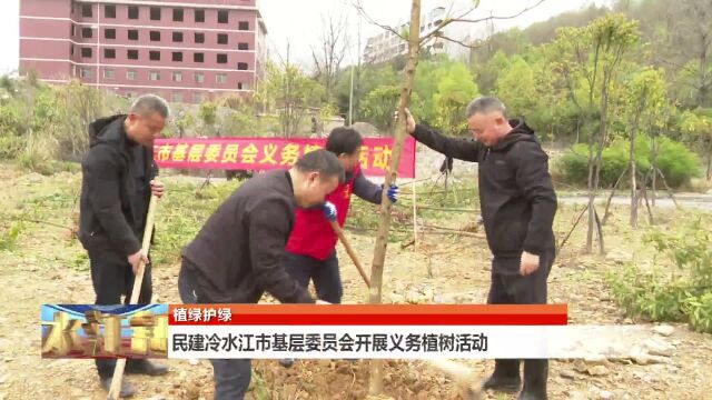 民建冷水江市基层委员会开展义务植树活动