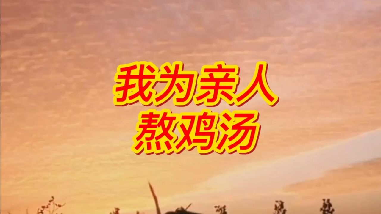 我为亲人熬鸡汤