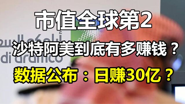 沙特阿美简直就是“摇钱树”:市值全球第2,每天净赚30亿?