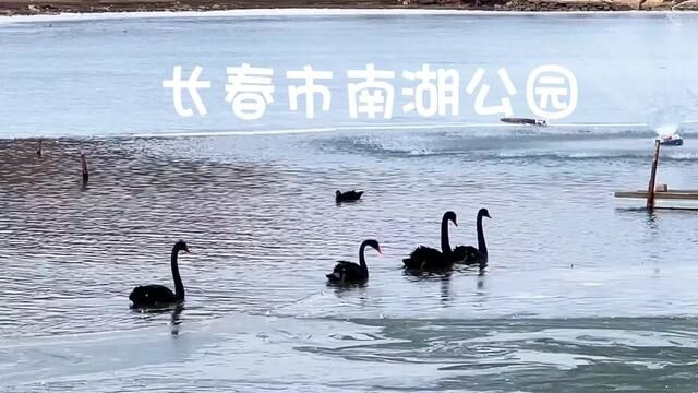 长春南湖公园