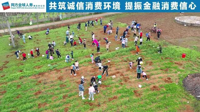 共植一片青绿 共筑诚信消费环境——同方全球人寿湖北分公司2023年客户服务活动圆满落幕