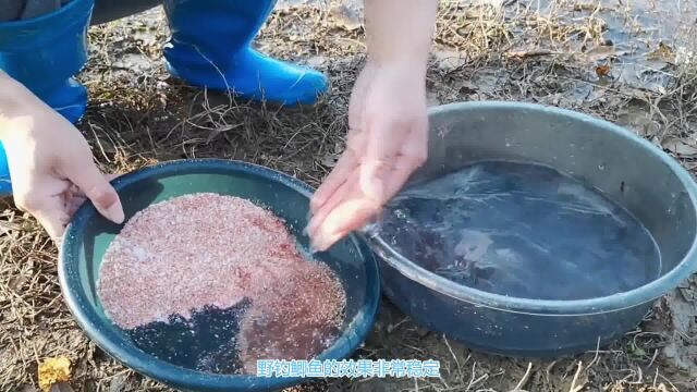 野钓鲫鱼的饵料配方,效果明显且稳定