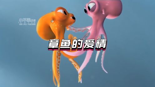 两只章鱼的爱情故事