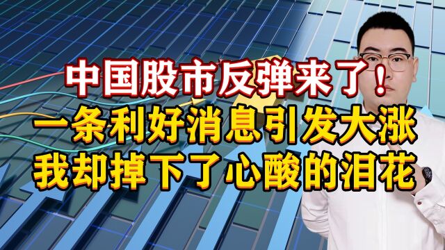 中国股市反弹来了!全球利好消息引发大涨,我却掉下了心酸的泪花