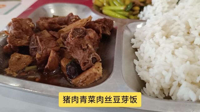 猪肉青菜肉丝豆芽饭