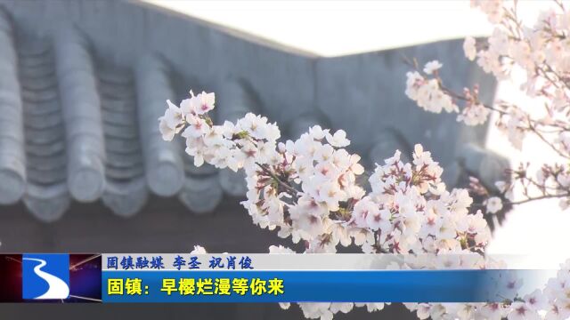 固镇县:赏千亩樱花 品楚汉文化