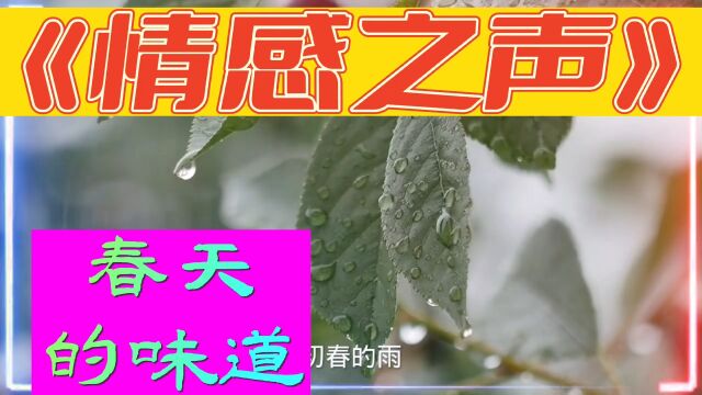 《情感之声》春天的味道