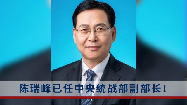 陈瑞峰履新中央统战部,曾任武汉市委副书记、副市长