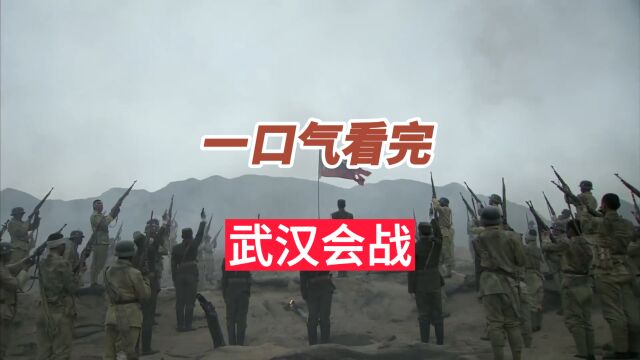 一口气看完武汉会战万家岭大捷