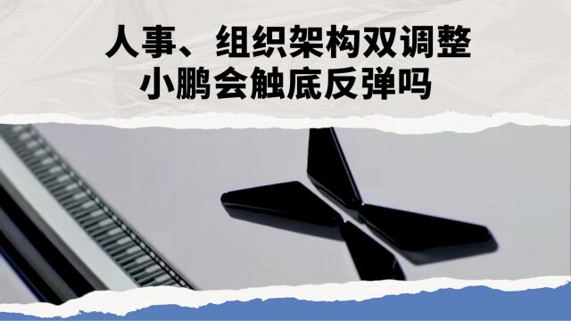 人事、组织架构双调整 小鹏会触底反弹吗?