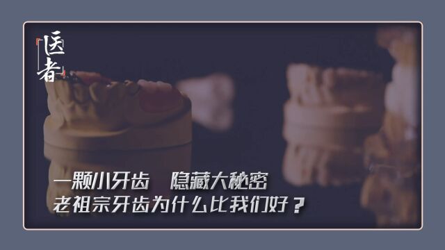 老祖宗的牙齿为什么比我们的好?古代的“牙刷”竟然是它?中国医学科学院整形外科医院口腔科专家告诉你一颗小牙齿,隐藏的大秘密