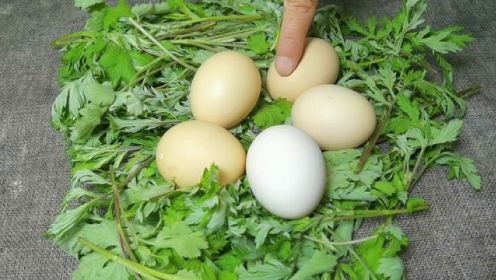 艾草煮鸡蛋，原来作用这么厉害，解决了很多人的困扰，省钱又实用 #艾草煮鸡蛋 #艾草 #鸡蛋 #鸡蛋的神仙吃法 #艾叶