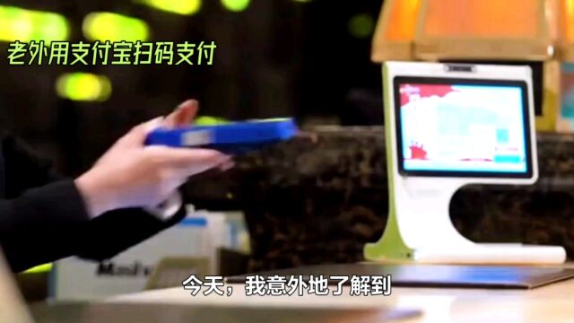 支付宝的全球影响力:从智能时代到农耕时代的跨越