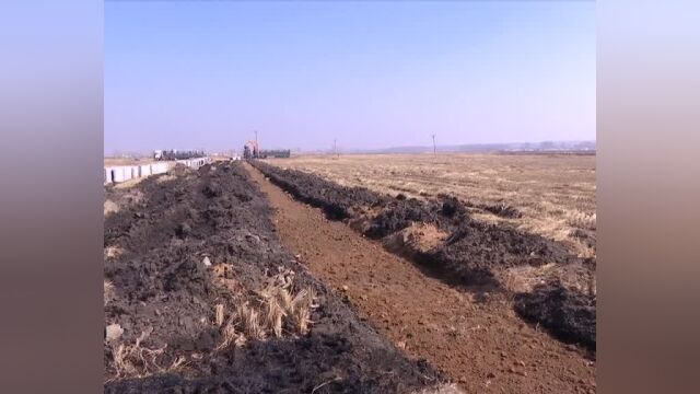 齐家镇高标准农田示范区项目开工建设