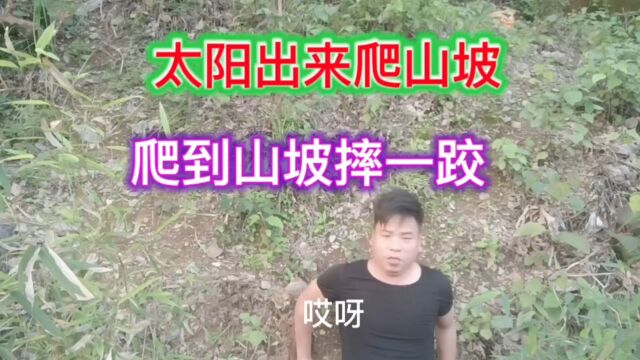 太阳出来爬山坡,爬到山坡摔一跤,漂亮