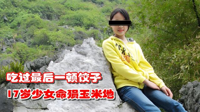 吃了最后一顿水饺,17岁少女命殒玉米地(下)