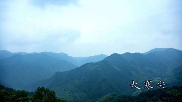 公开通缉!最高悬赏50万元