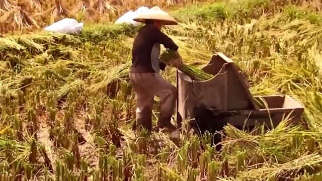 农耕文化:时代变 人也变 好农民 心不变 打谷日当午 没人来帮我 独自也干着《农民》 《闯码头》