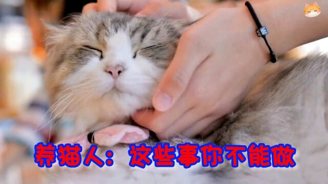 养猫人:这些你不能做